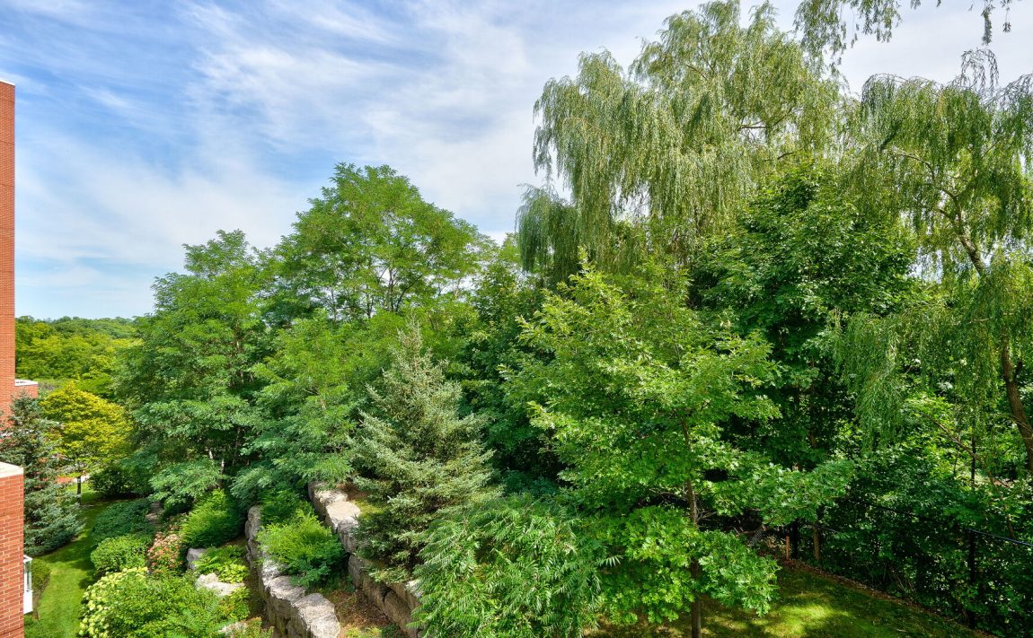 40-old-mill-rd-oakville-condos-for-sale-green-space