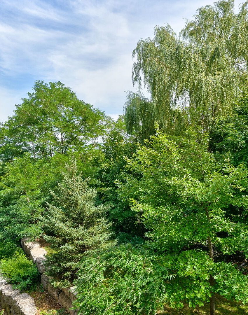 40-old-mill-rd-oakville-condos-for-sale-green-space